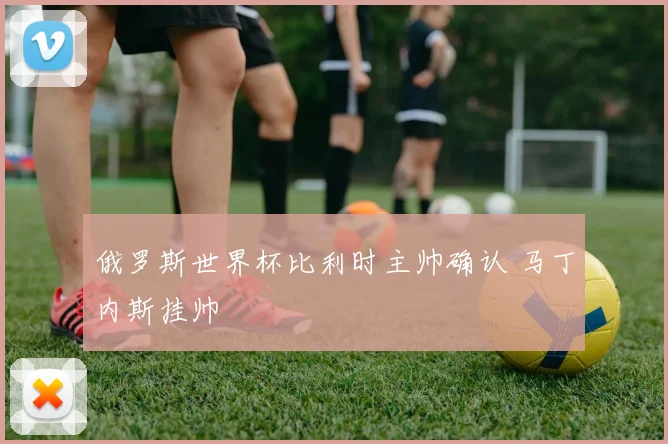 俄罗斯世界杯比利时主帅确认 马丁内斯挂帅