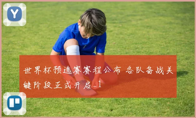 世界杯预选赛赛程公布 各队备战关键阶段正式开启_1