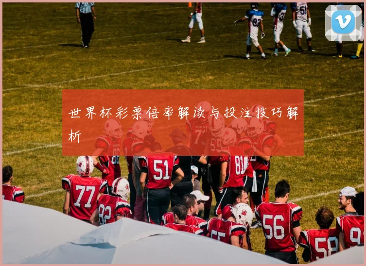 世界杯彩票倍率解读与投注技巧解析