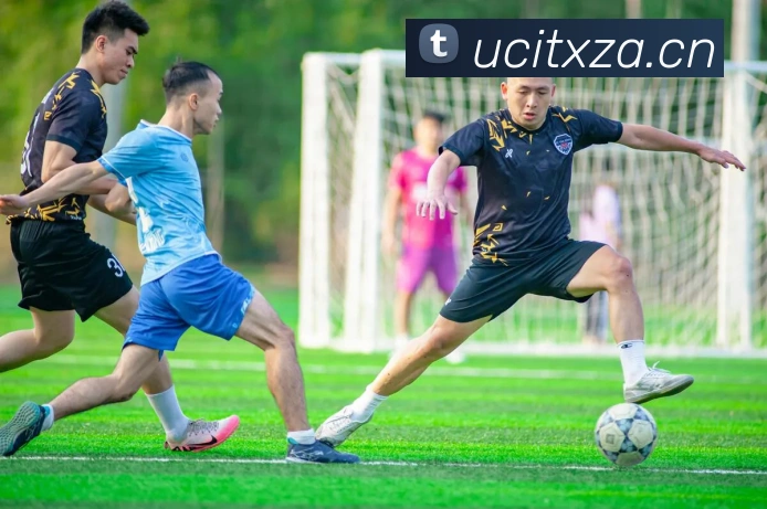 开云kaiyun网站APP 封面图